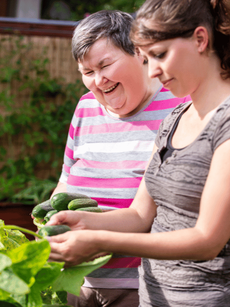 Support worker with disabled NDIS participant picking vegetables from the garden